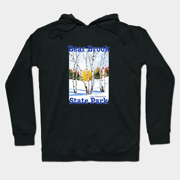 Bear Brook State Park, New Hampshire Hoodie by MMcBuck